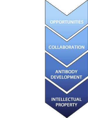 Opportunities for collaboration